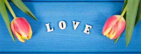 Word love and fresh tulips for Valentines Day, birthday or other different occasionsの写真素材