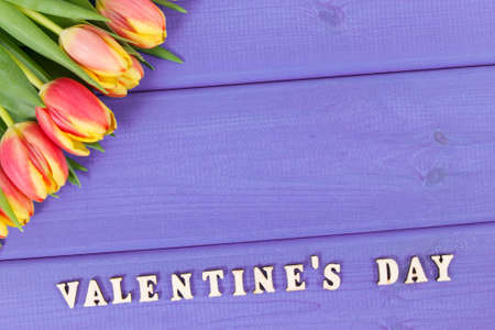 Bouquet of fresh tulips for Valentines Day, copy space for text on purple boards