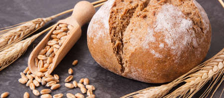 Fresh baked wholegrain rolls or bread for breakfast and seeds with ears of rye or wheat grain