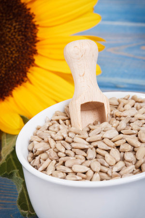Sunflower seeds and beautiful yellow flower on old blue boards backgroundの写真素材
