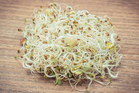 Alfalfa and radish sprouts as healthy nutritious natural addition to sandwichesの写真素材
