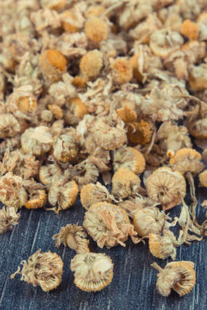 Healthy chamomile as herb using in alternative medicine. Source natural vitamins and mineralsの写真素材