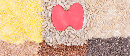 Nutritious ingredients and thyroid shape. Healthy food containing natural vitamins. Problems with thyroid conceptの写真素材