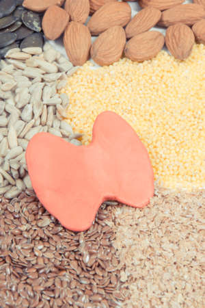 Best nutritious ingredients or products for healthy thyroid. Food as source natural vitamins and mineralsの写真素材