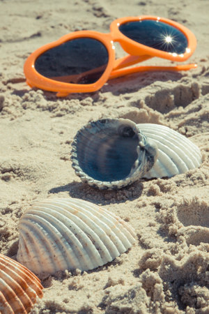 Orange sunglasses and seashells on sand at beach. Travel and vacation time concept