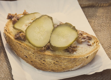 Prepared portion of wheat or rye bread with homemade lard with pickled cucumberの写真素材