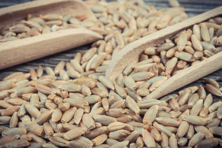 Heap of rye grain with wooden spoon on old rustic board. Agriculture conceptの写真素材