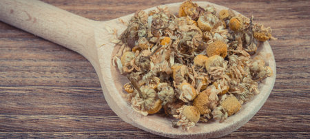 Healthy chamomile as herb using in alternative medicine. Source natural vitamins and mineralsの写真素材