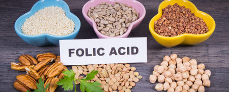 Nutritious food containing natural folic acid, dietary fiber and other vitamins or minerals. Healthy...
