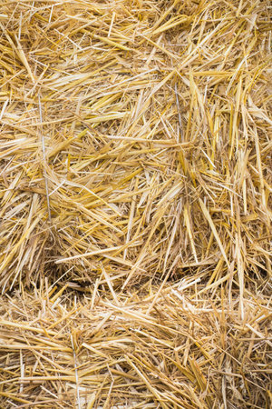 Bales of hay or straw as background or wallpaper texture