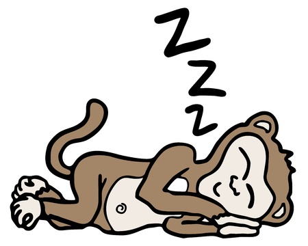 Sleep monkeyのイラスト素材