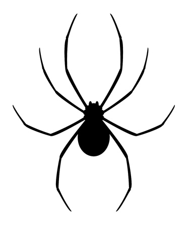 Black spiderのイラスト素材
