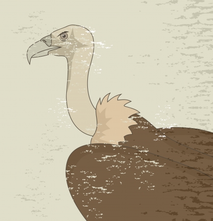 Old vultureのイラスト素材