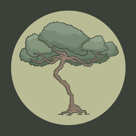 Oak draw iconのイラスト素材