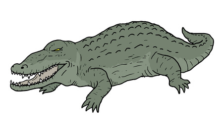 Crocodile drawのイラスト素材