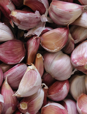 Garlic textureの写真素材