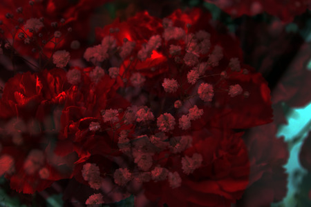 Imaginative wallpape photoの写真素材