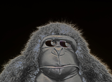 Dark gorillaの写真素材