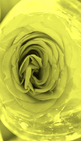 Fashion wallpaperの写真素材