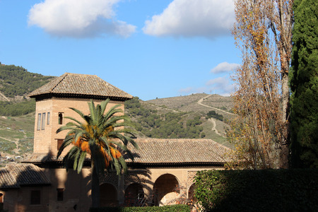 Alhambra detail