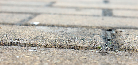 Ground zoom photo