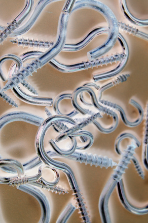 original screwsの写真素材