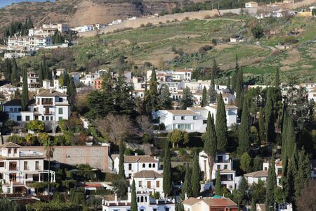 Vegetation photoの写真素材