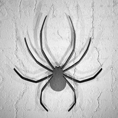 Spider renderの写真素材