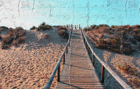 Wood roadの写真素材