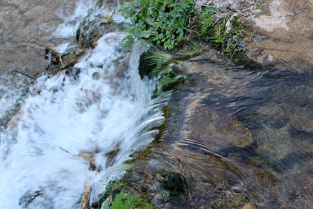 field detail
