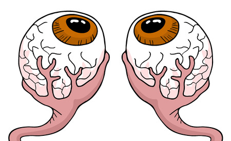 two eyesのイラスト素材