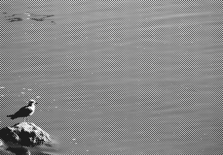 water zoneの写真素材