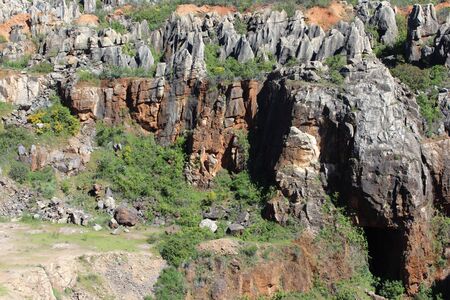 field sceneの写真素材