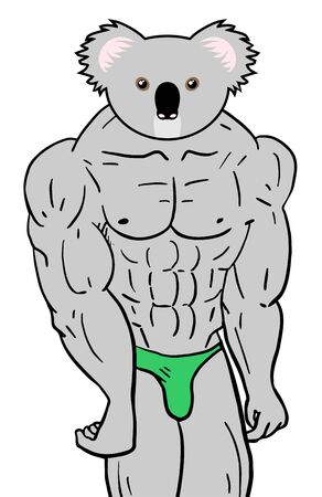 strong koalaのイラスト素材
