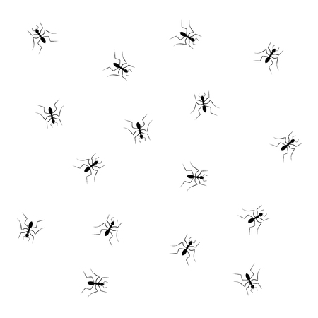 ants illustrationのイラスト素材