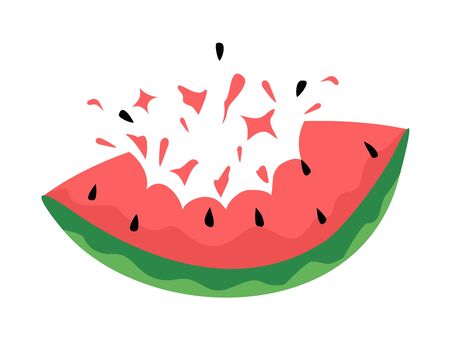 watermelon illustrationのイラスト素材