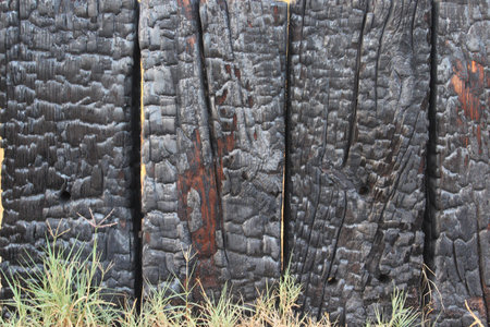 wood backgroundの写真素材