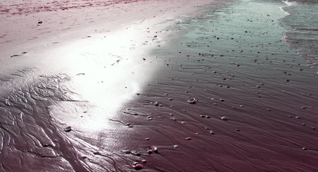 photo of sand backgroundの写真素材