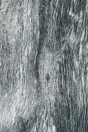old wood textureの写真素材
