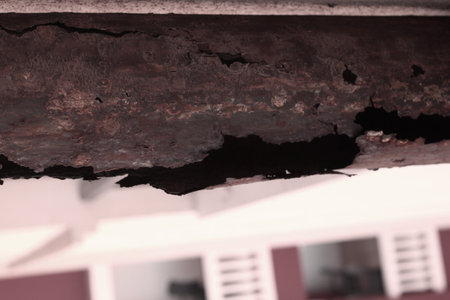 rusty tube pipe photo detailの写真素材