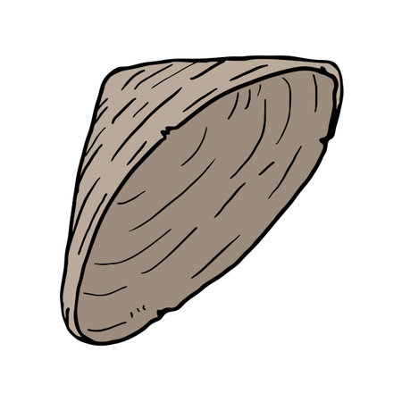 Oriental kasa hatのイラスト素材