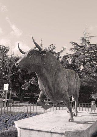 Bull statue photo detailの写真素材