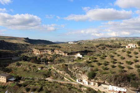 nice field photo detailの写真素材