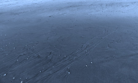 wet sand beach