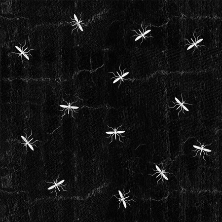 insect patternの写真素材