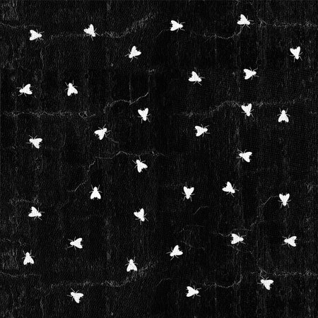 insect patternの写真素材
