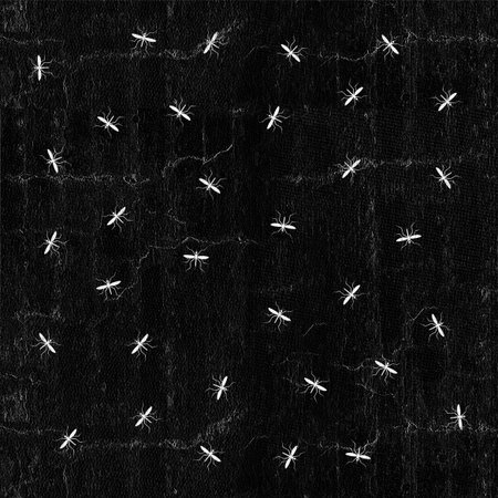 insect patternの写真素材