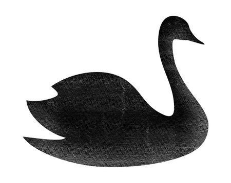 swan illustrationの写真素材