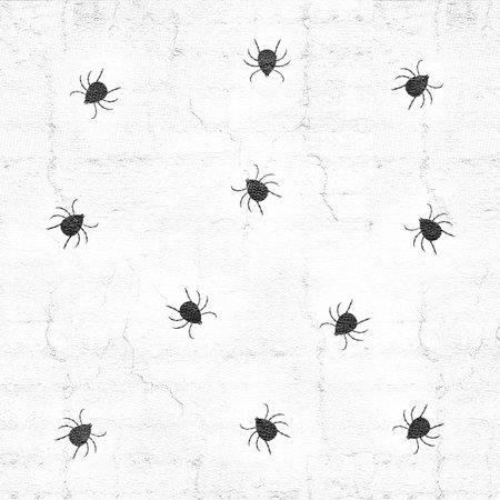 insect patternの写真素材