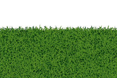 Grass ground backgroundのイラスト素材